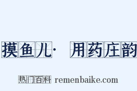 摸鱼儿·用药庄韵是什么意思的图片